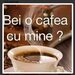 Poze reale, confirm pe web, hai la o intalnire, masaj,